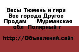 Весы Тюмень и гири - Все города Другое » Продам   . Мурманская обл.,Полярный г.